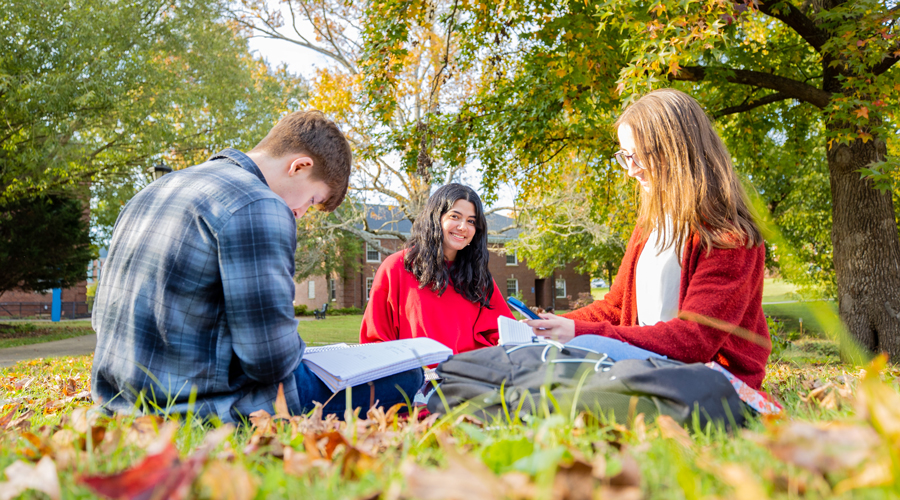 Students sitting on the lawn and studying