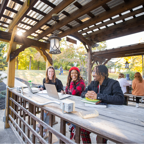 Students sitting under a pavilion on campus