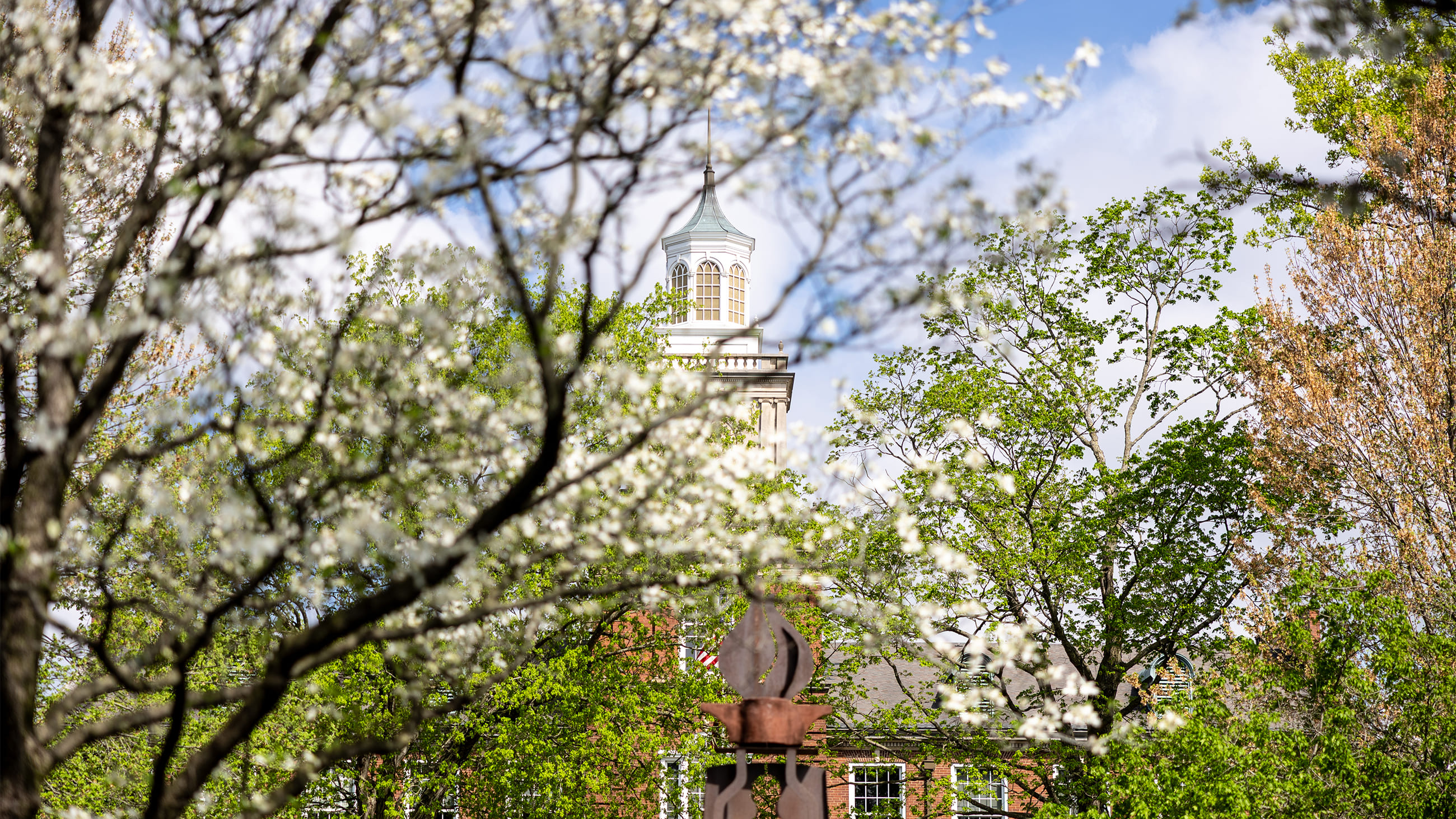 Carousel background image.