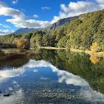 Best Landscape – “Parque Nacional Nahuel Huapi by Natalie Sierra”