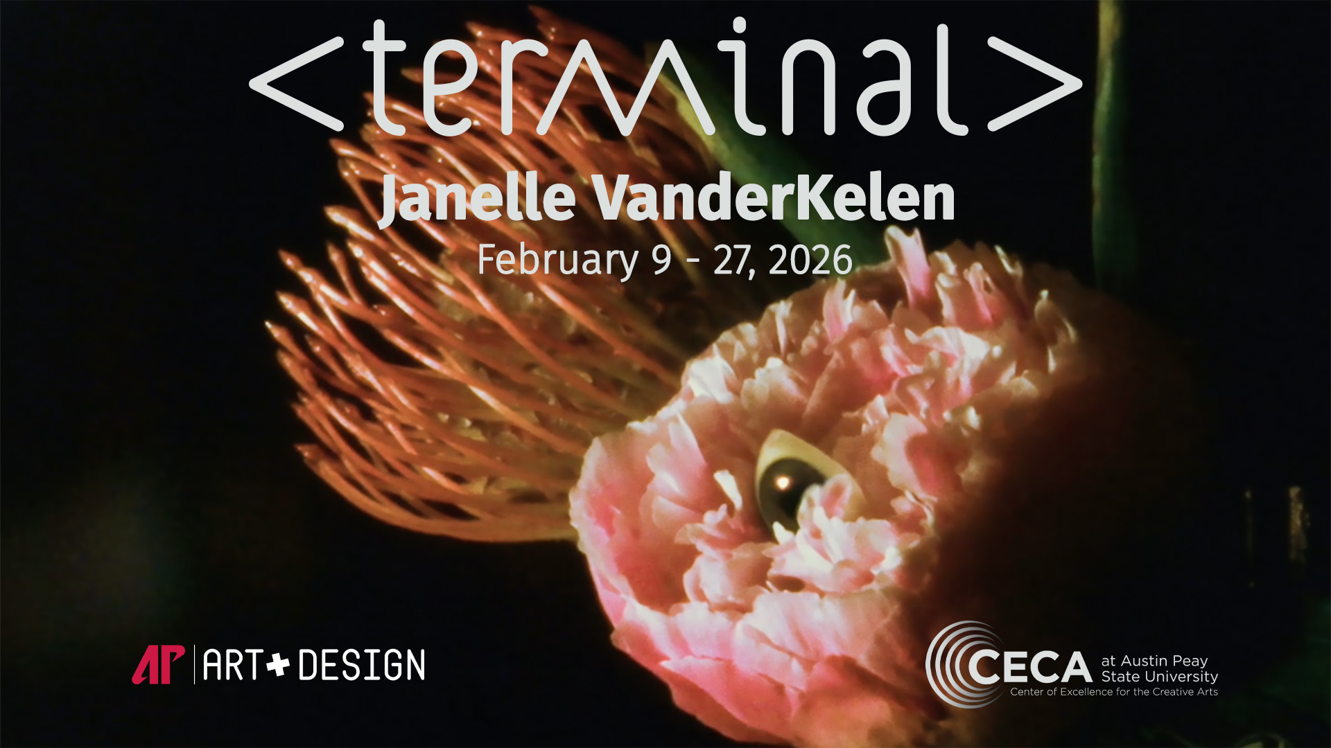 Janelle VanderKelen at <terminal>