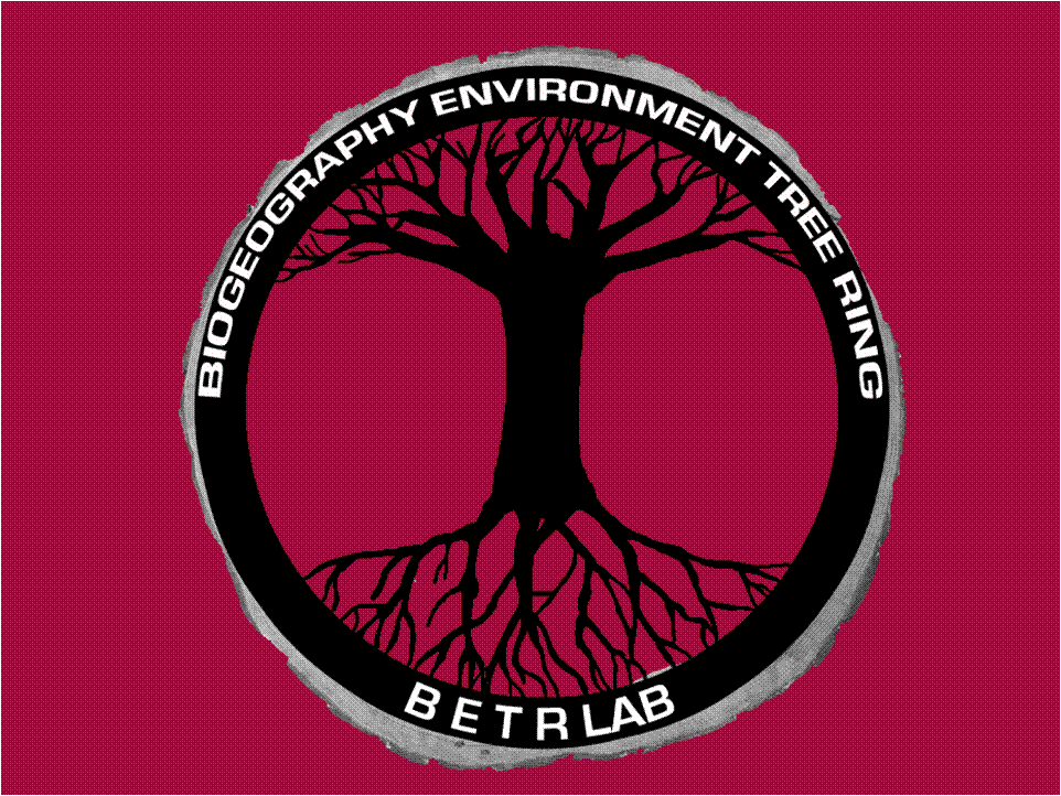 betr lab logo