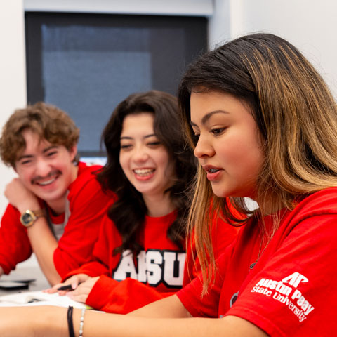 Students working together on a laptop