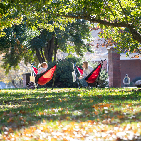 Students in hammocks on campus