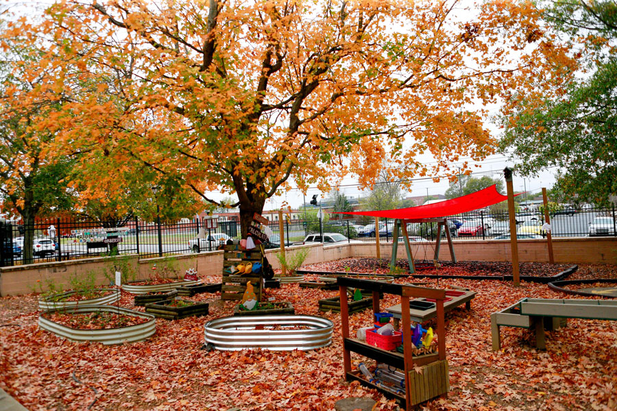 Children play in the outdoor area