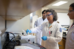 Students working in a lab