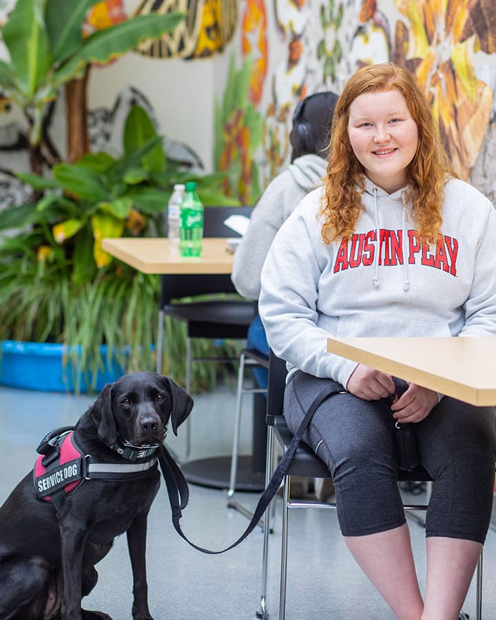 A student wearing an 'Austin Peay' sweatshirt while sitting at a table next to her service dog.