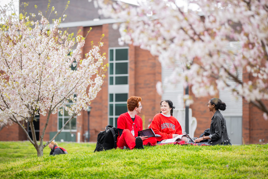 Students sitting on the lawn in Spring.
