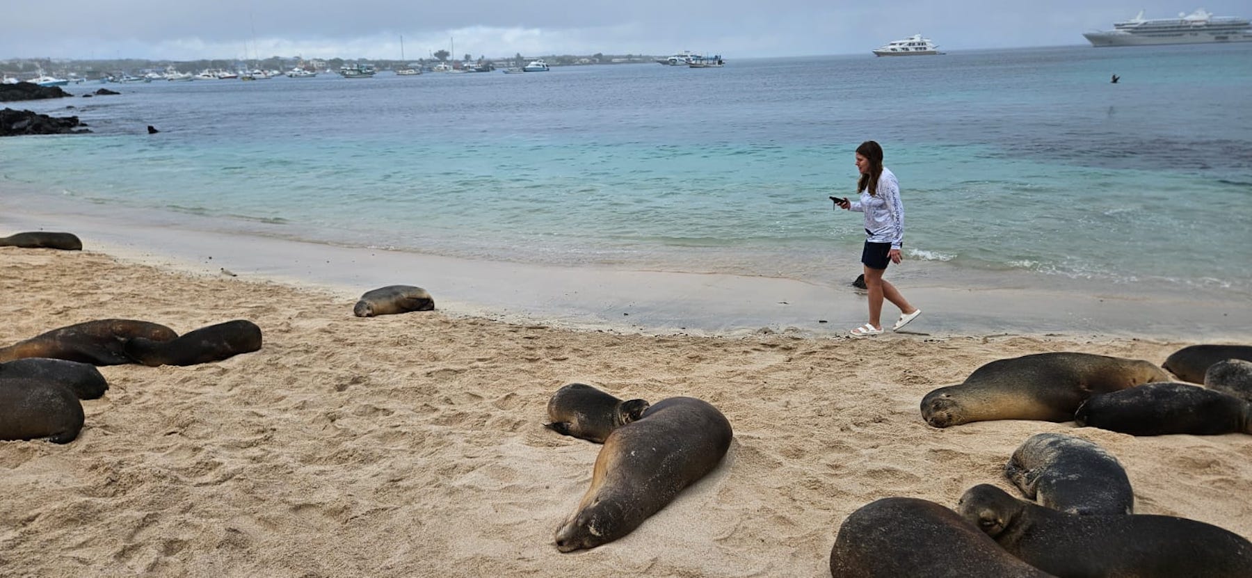 oct-2024-giefer-galapagos