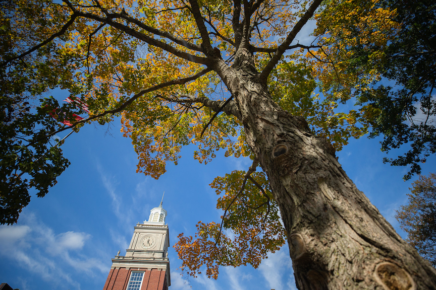 APSU's campus