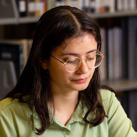 Student working in the library