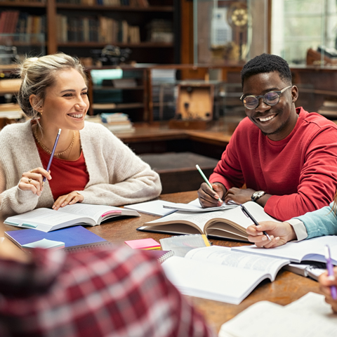 Students working together in the library