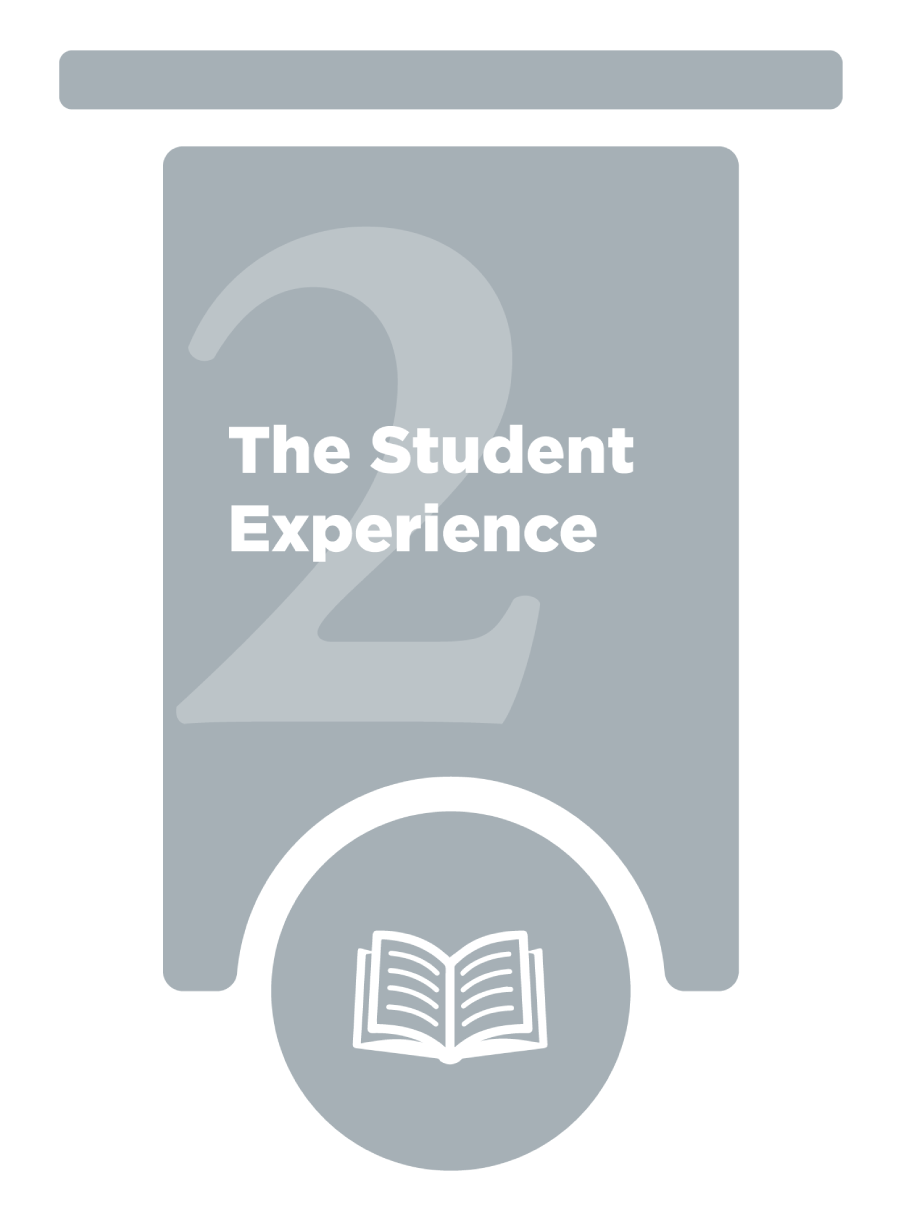 Pillar 2: The Student Experience